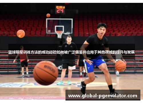 篮球明星训练方法的成功经验如何被广泛借鉴并应用于其他领域的提升与发展
