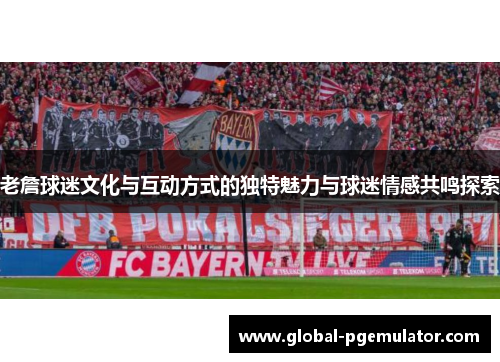 老詹球迷文化与互动方式的独特魅力与球迷情感共鸣探索
