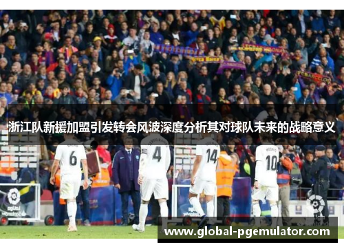 浙江队新援加盟引发转会风波深度分析其对球队未来的战略意义