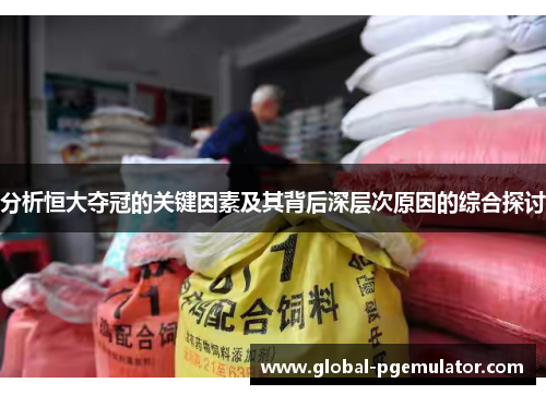 分析恒大夺冠的关键因素及其背后深层次原因的综合探讨