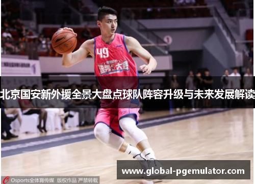 北京国安新外援全景大盘点球队阵容升级与未来发展解读