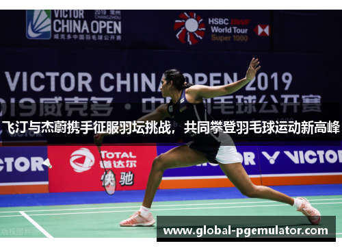 飞汀与杰蔚携手征服羽坛挑战，共同攀登羽毛球运动新高峰