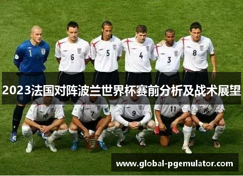 2023法国对阵波兰世界杯赛前分析及战术展望