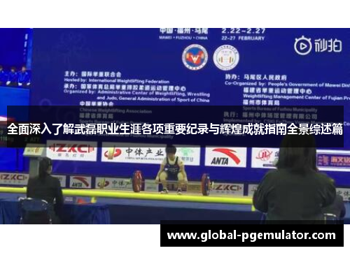 全面深入了解武磊职业生涯各项重要纪录与辉煌成就指南全景综述篇