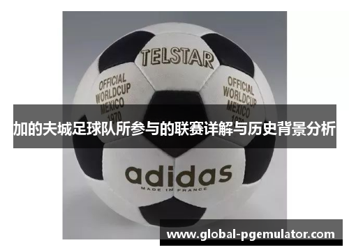 加的夫城足球队所参与的联赛详解与历史背景分析
