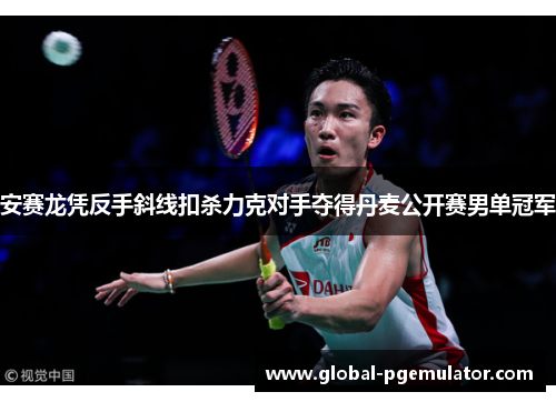 安赛龙凭反手斜线扣杀力克对手夺得丹麦公开赛男单冠军